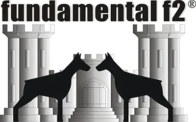 logo fundamental f2